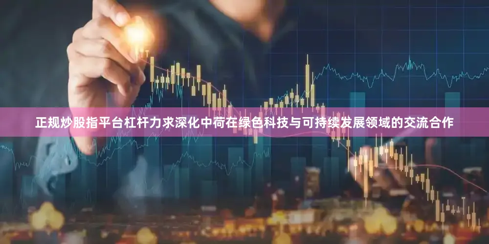 正规炒股指平台杠杆力求深化中荷在绿色科技与可持续发展领域的交流合作