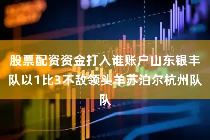 股票配资资金打入谁账户山东银丰队以1比3不敌领头羊苏泊尔杭州队