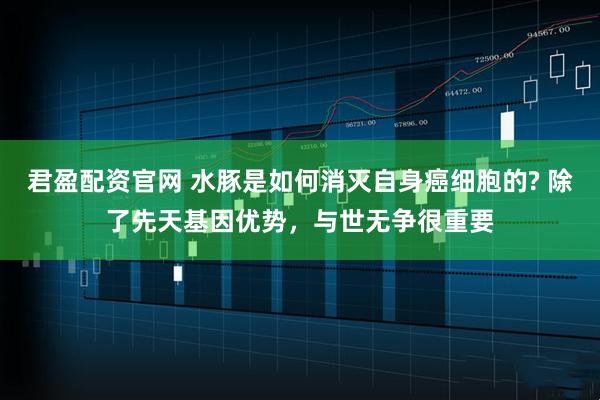 君盈配资官网 水豚是如何消灭自身癌细胞的? 除了先天基因优势，与世无争很重要