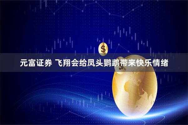 元富证券 飞翔会给凤头鹦鹉带来快乐情绪
